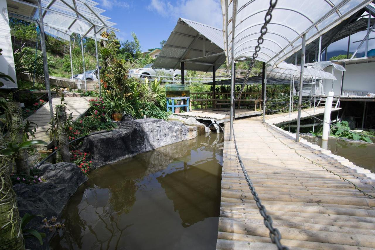 Amazing Grace Lodge Kampong Kundassan Buitenkant foto